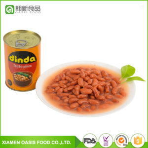 Canned Pinto Beans