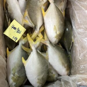 Frozen Golden Pomfret